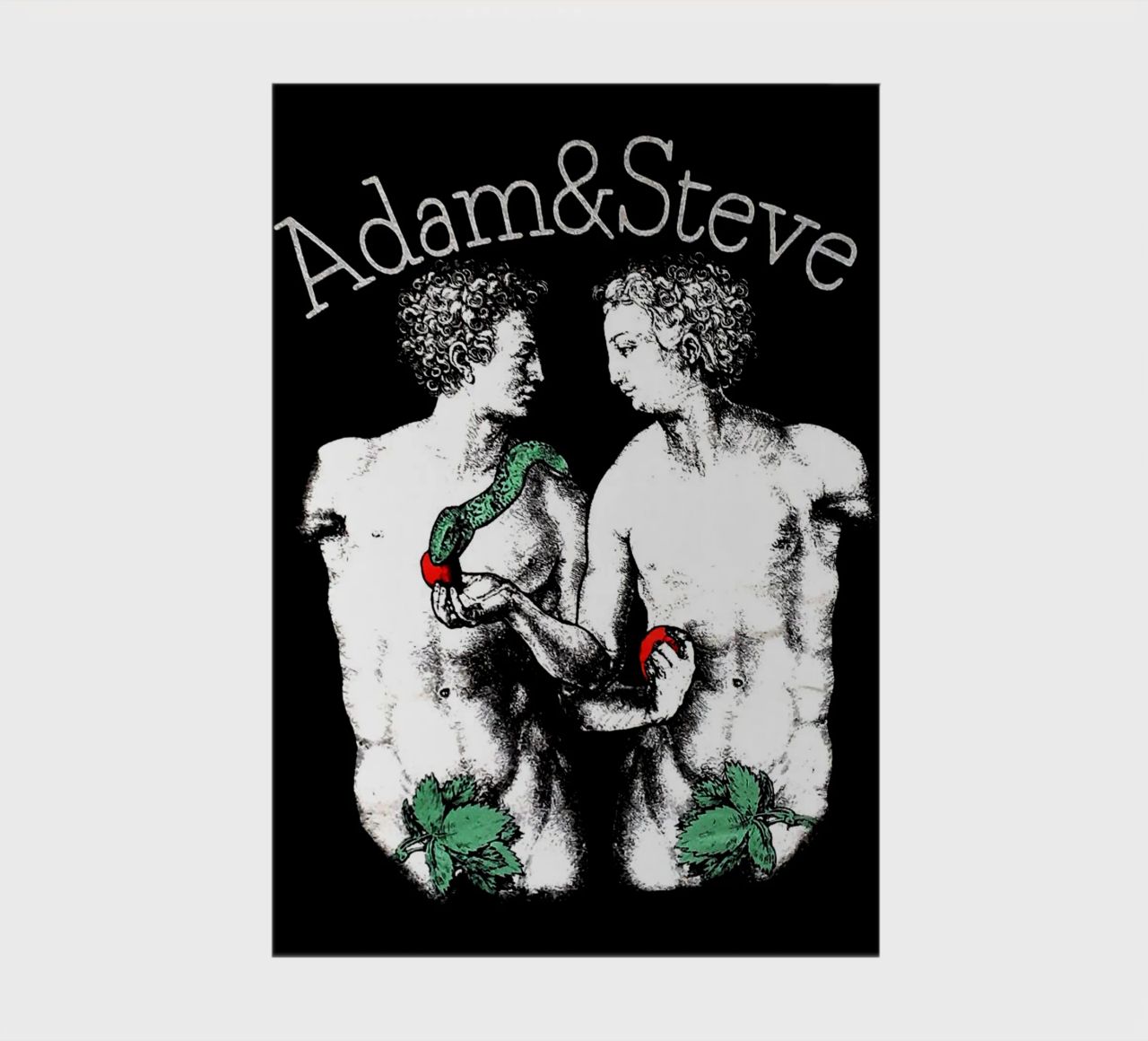 Questione nera Adam e Steve diario da Fewasyes