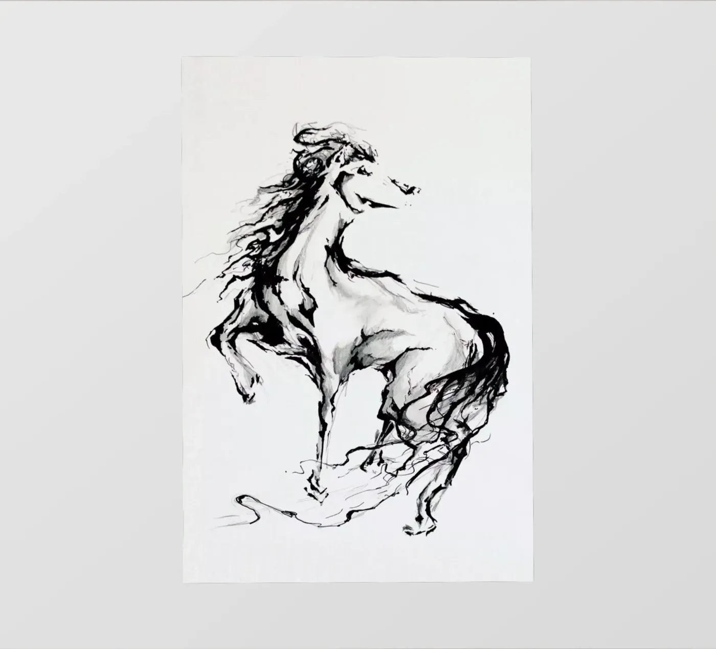 Pride backlit film by Marc Allante