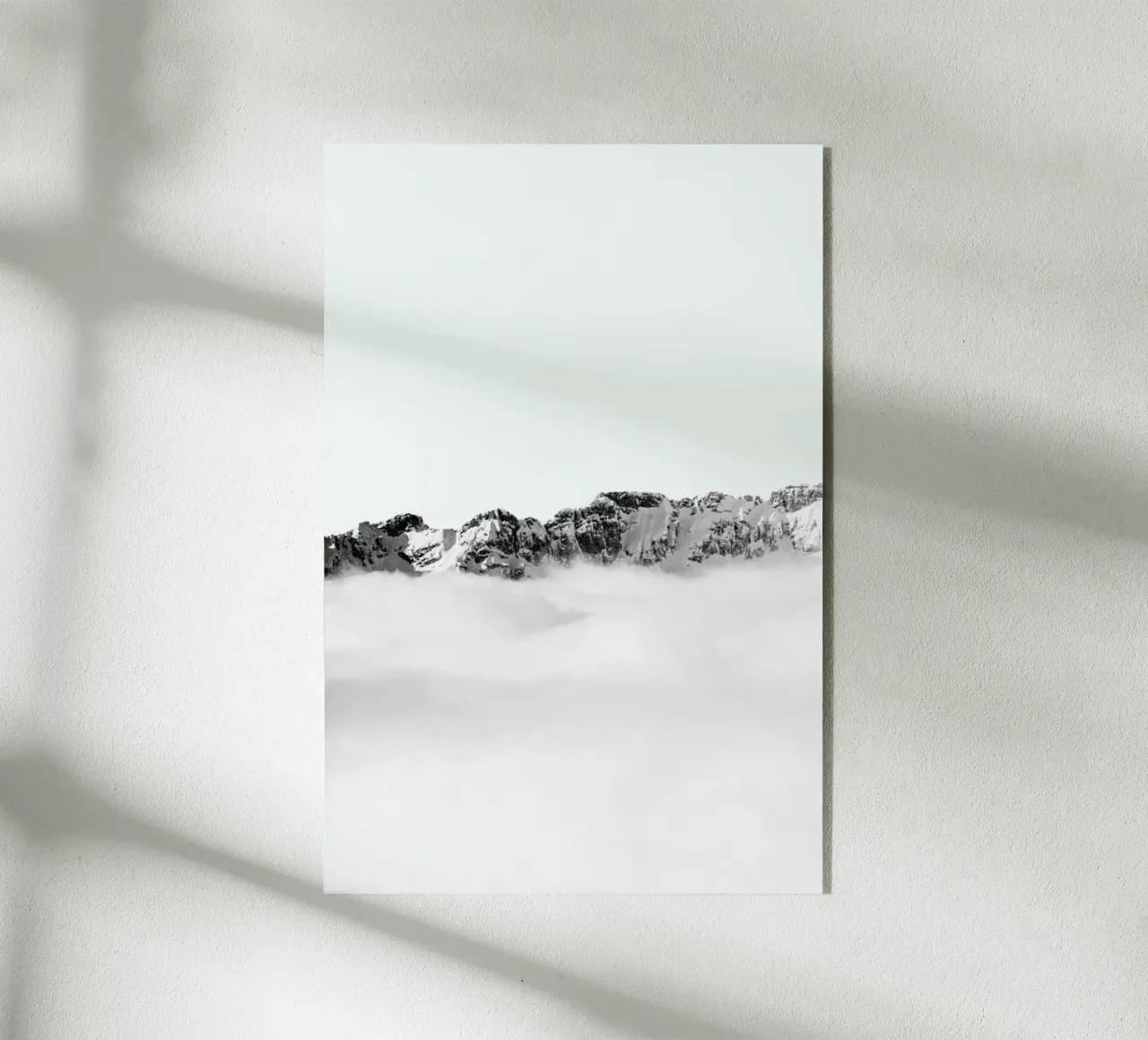 Divide plexiglass da Victoria Frost