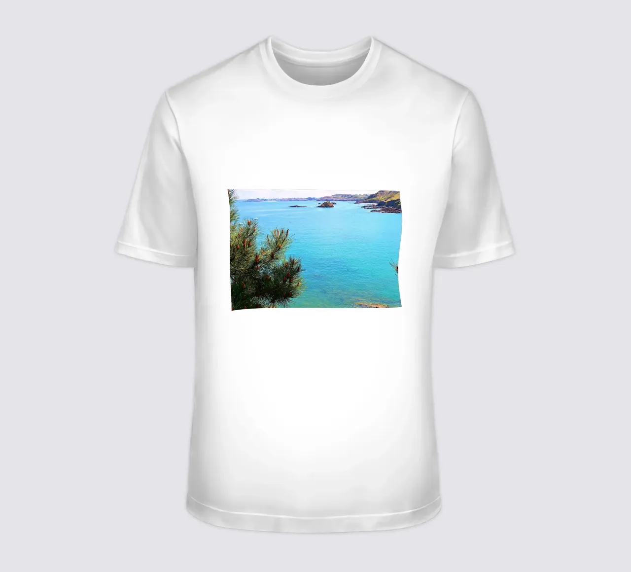 FAA313 t-shirt da Thierry vobmann photography