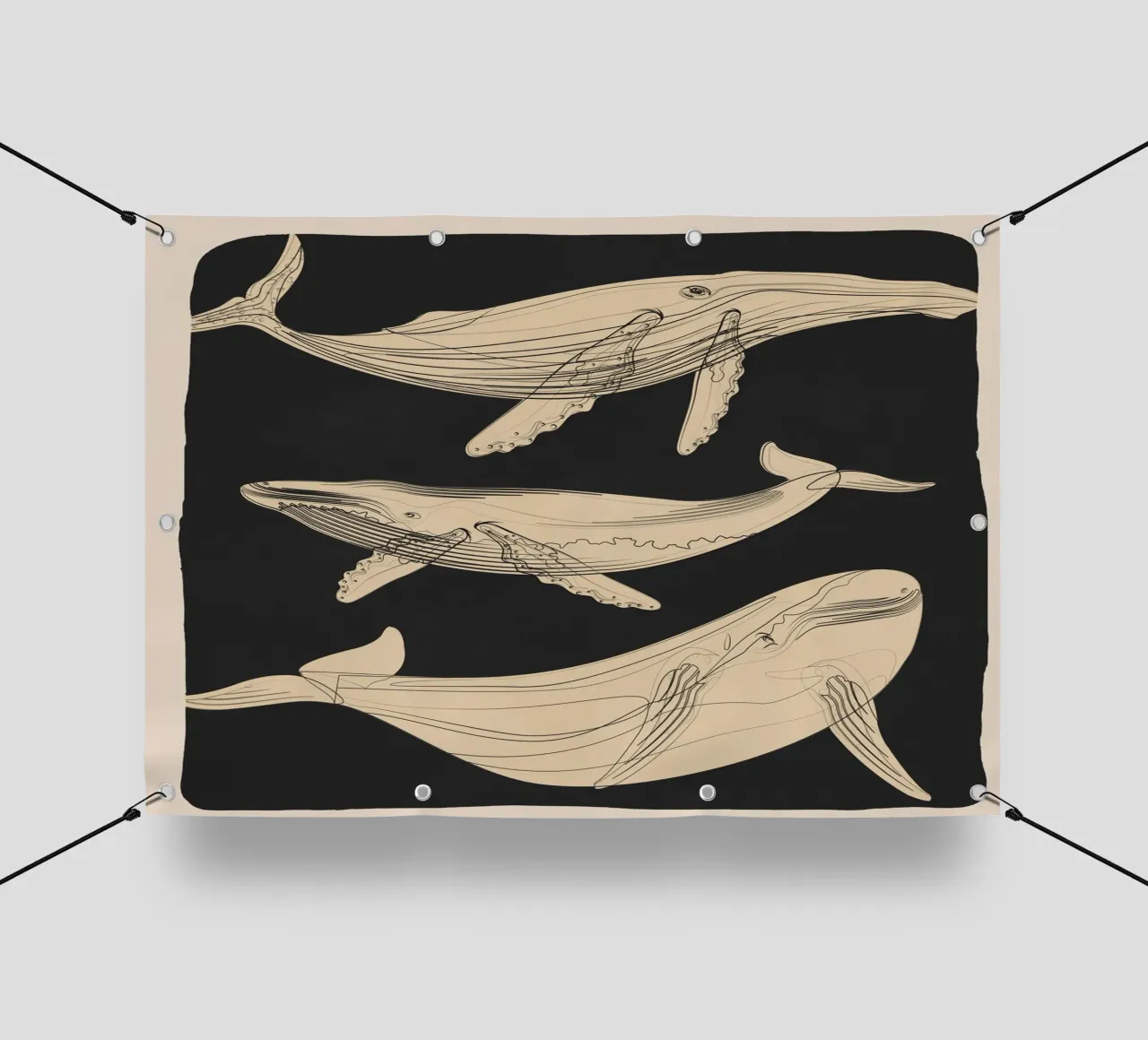 Modern Minimalist Abstract Whales telo in pvc da Nadjaa
