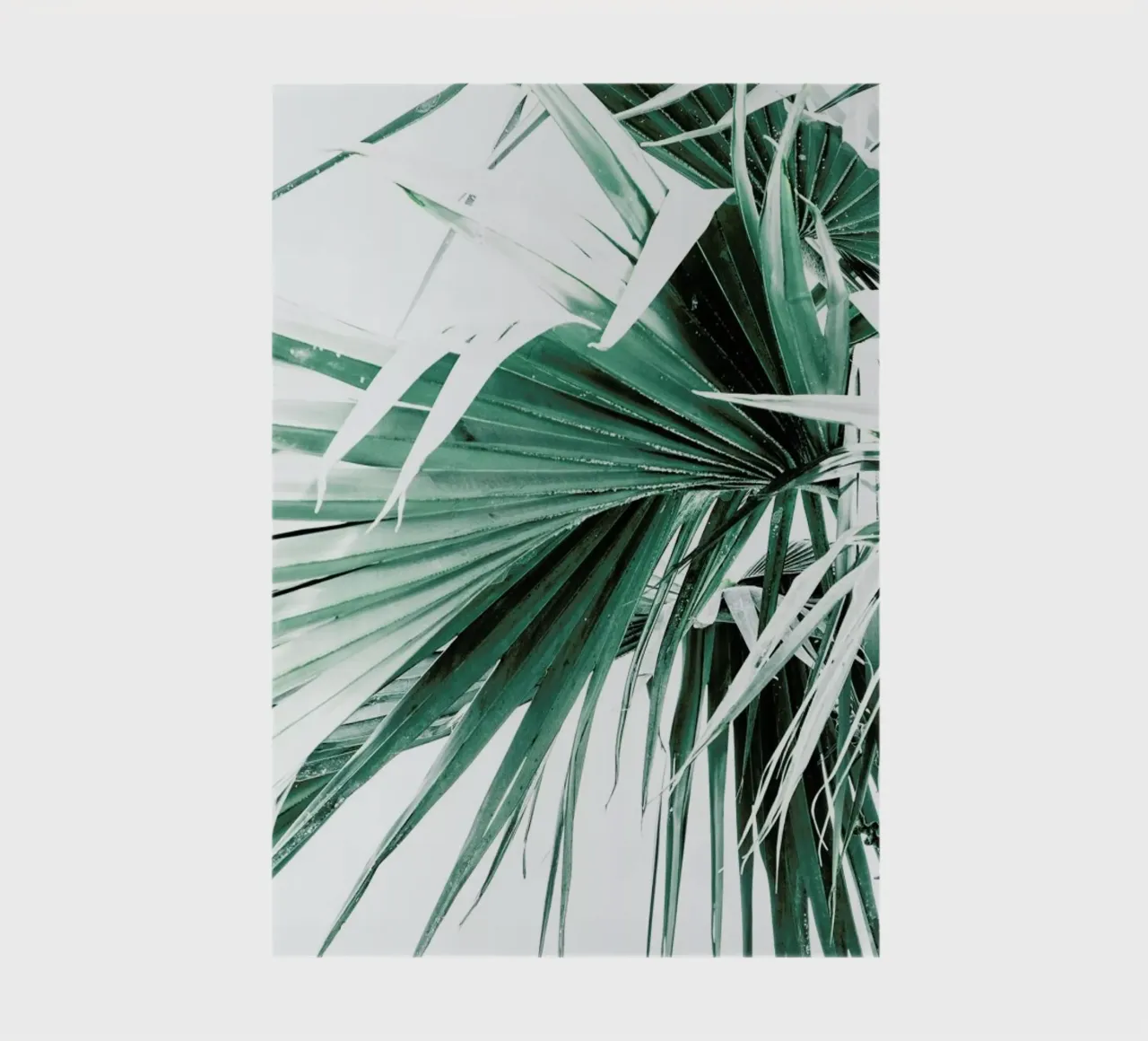 Palm Leaves 2 notebook by Victoria Frost