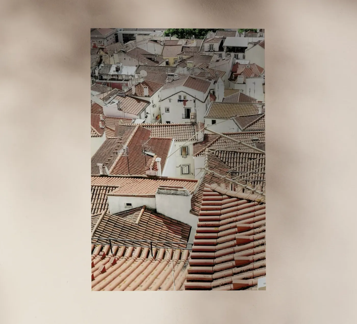 Lisboa pellicola backlit da Shot By Clint