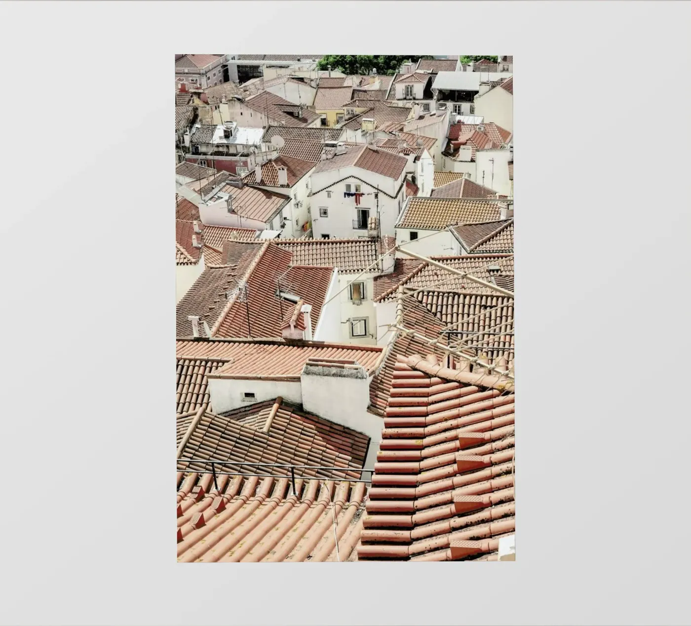 Lisboa pellicola backlit da Shot By Clint