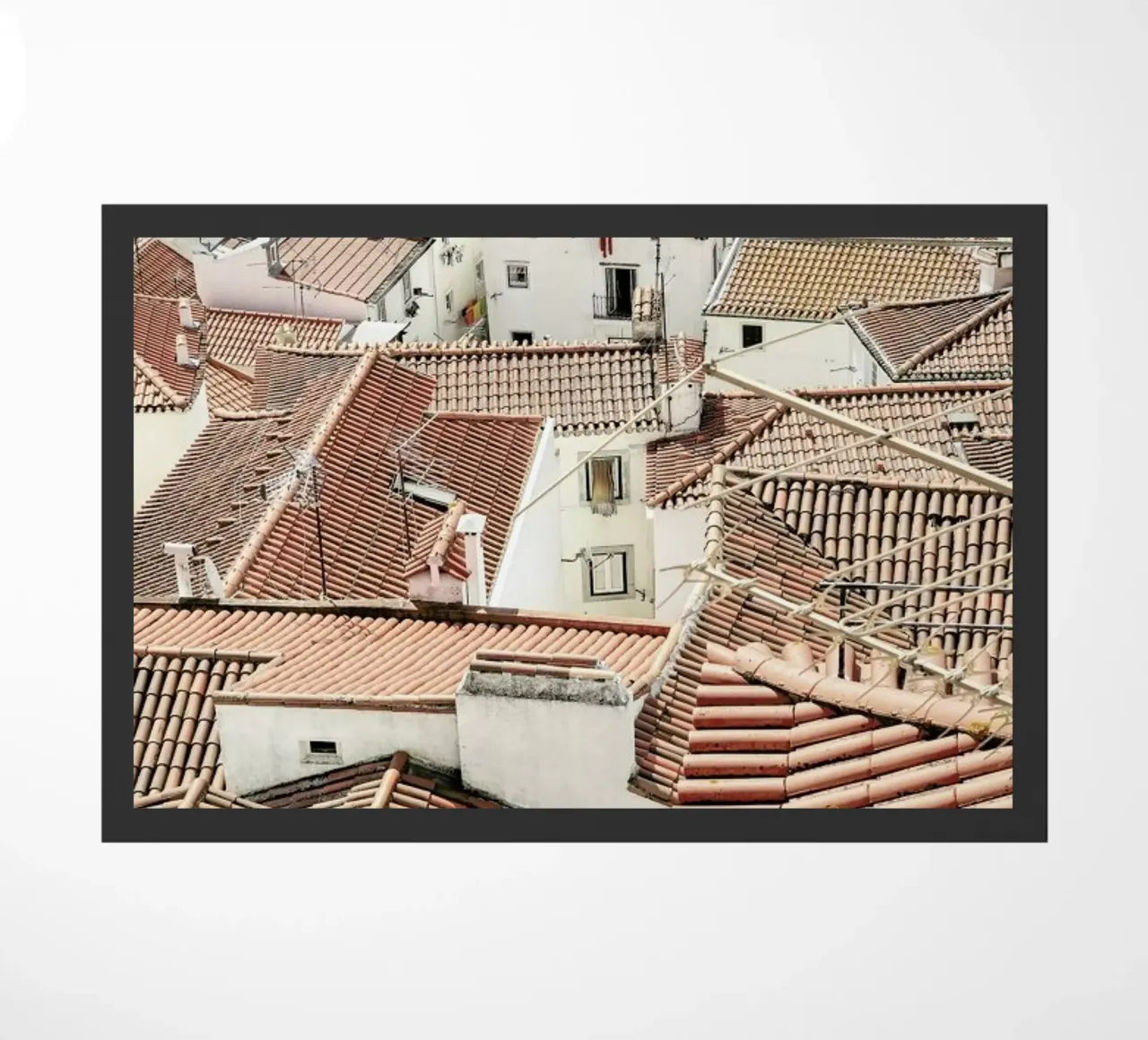 Lisboa zerbino da Shot By Clint