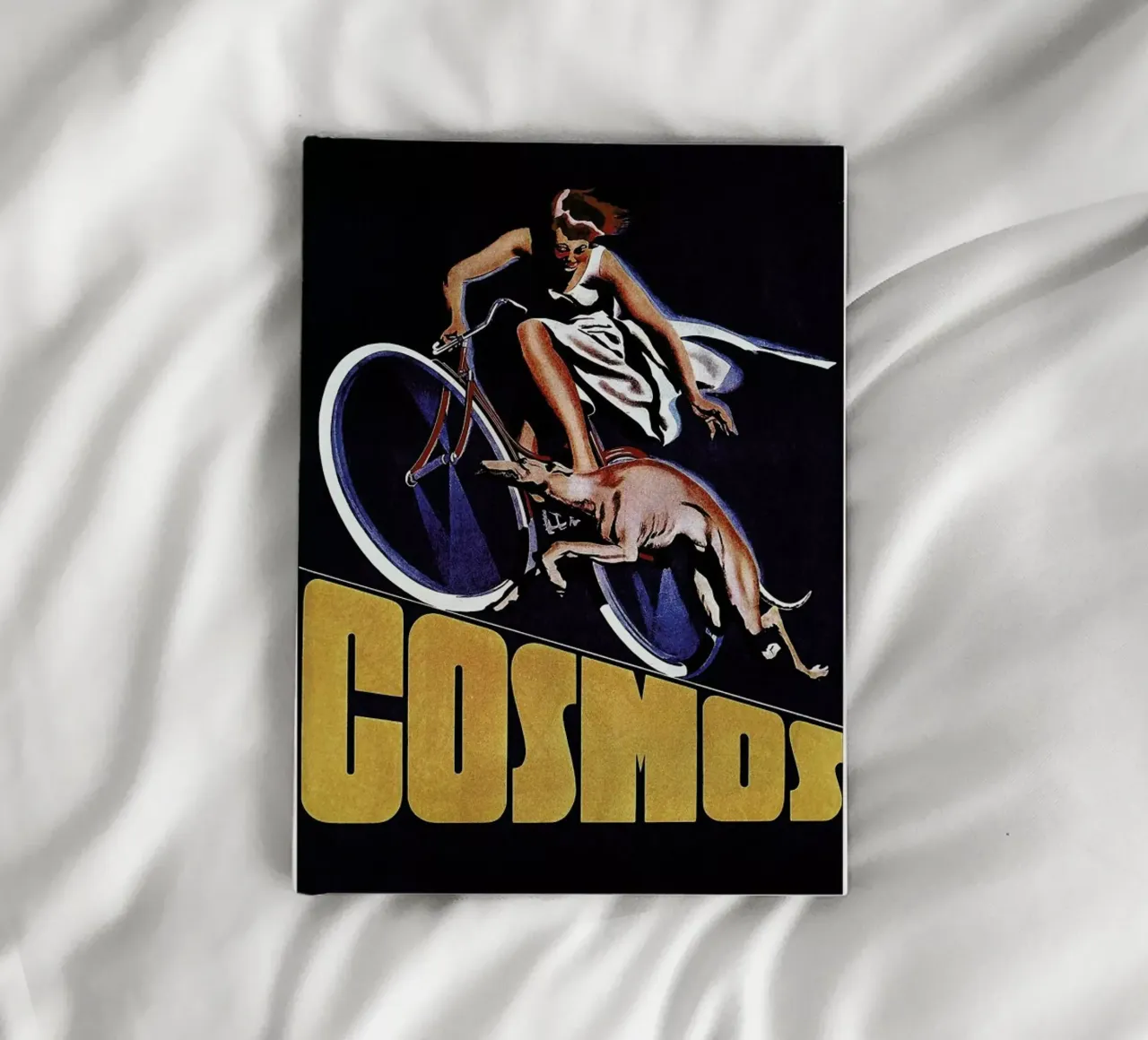 bike8 diario da Robert Livingston