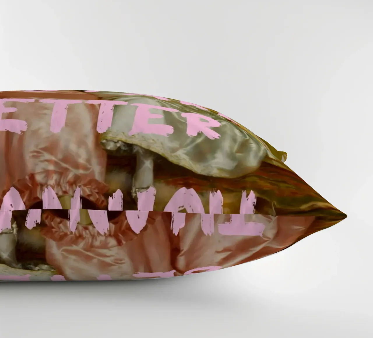 "Better Than You" - Pop Art, Remix classico, Umoristico, Amico cuscino da NorwesClub