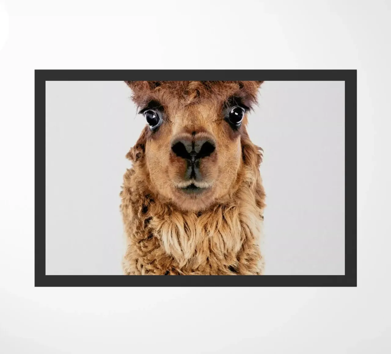 Alpaca II zerbino da Paws & Claws