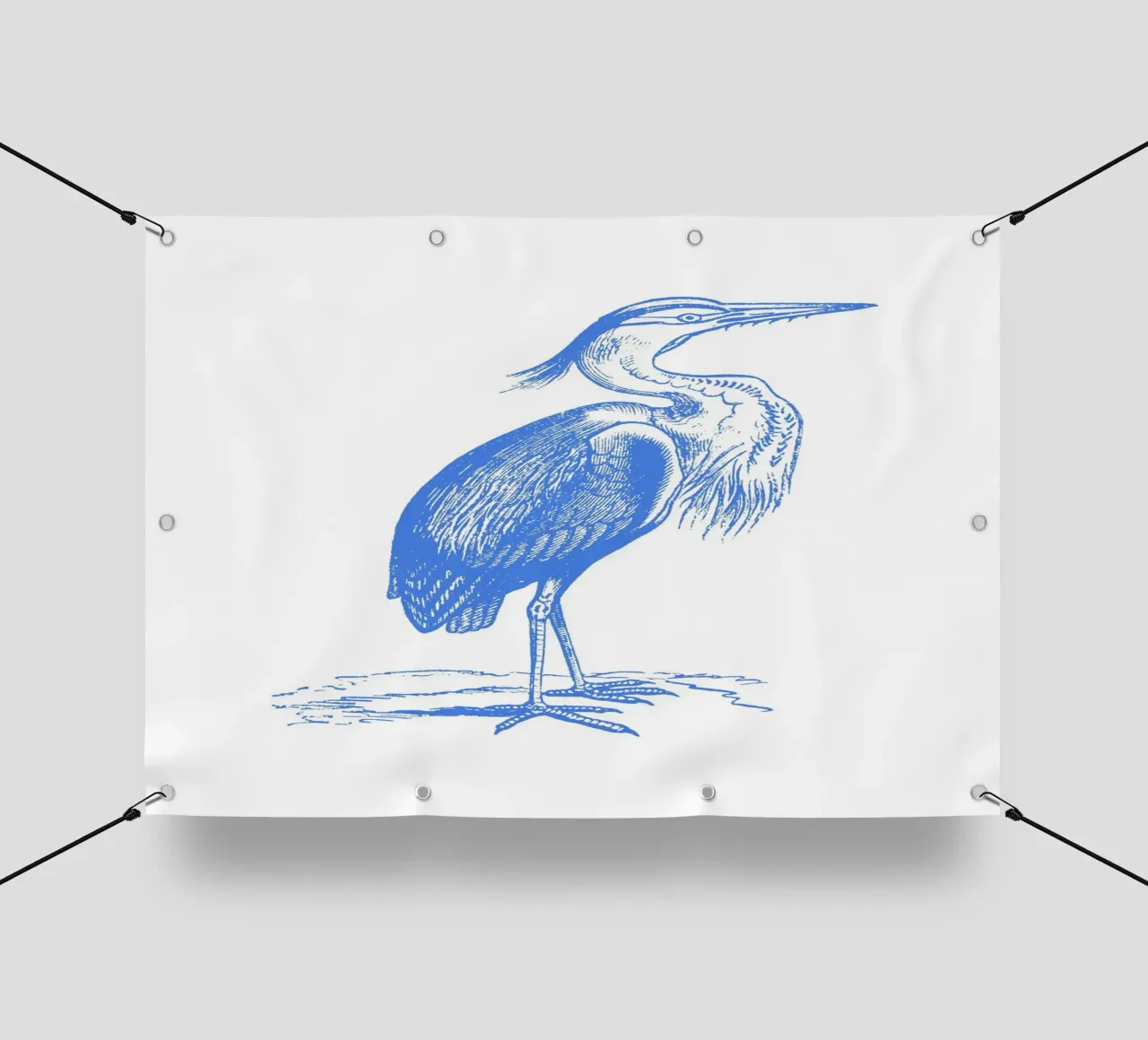 Elegante airone azzurro - Acquaforte di fauna costiera telo in pvc da NorwesClub