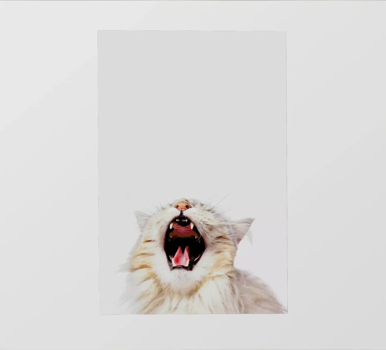 Roar II pellicola backlit da Paws & Claws