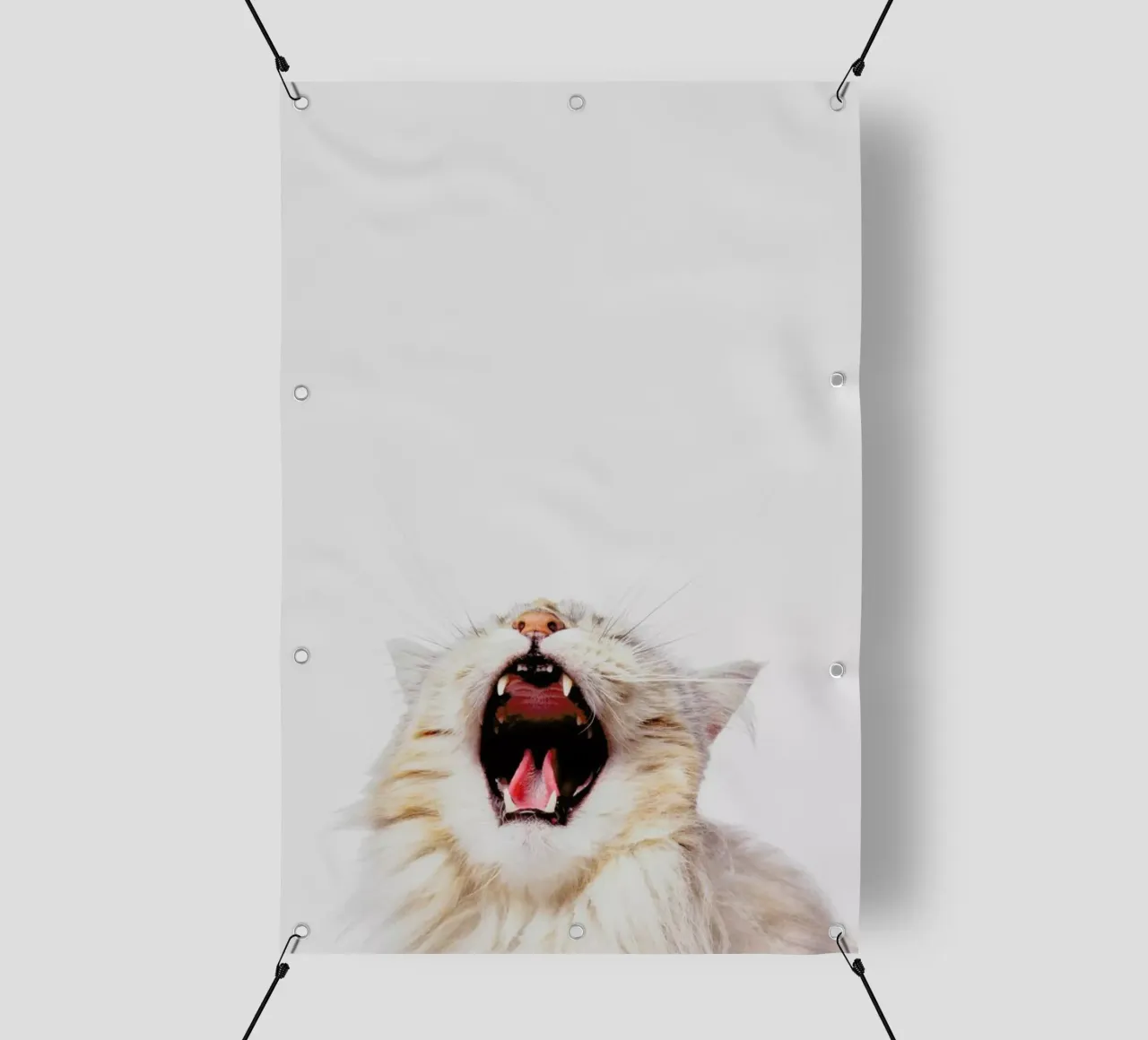 Roar II telo in pvc da Paws & Claws
