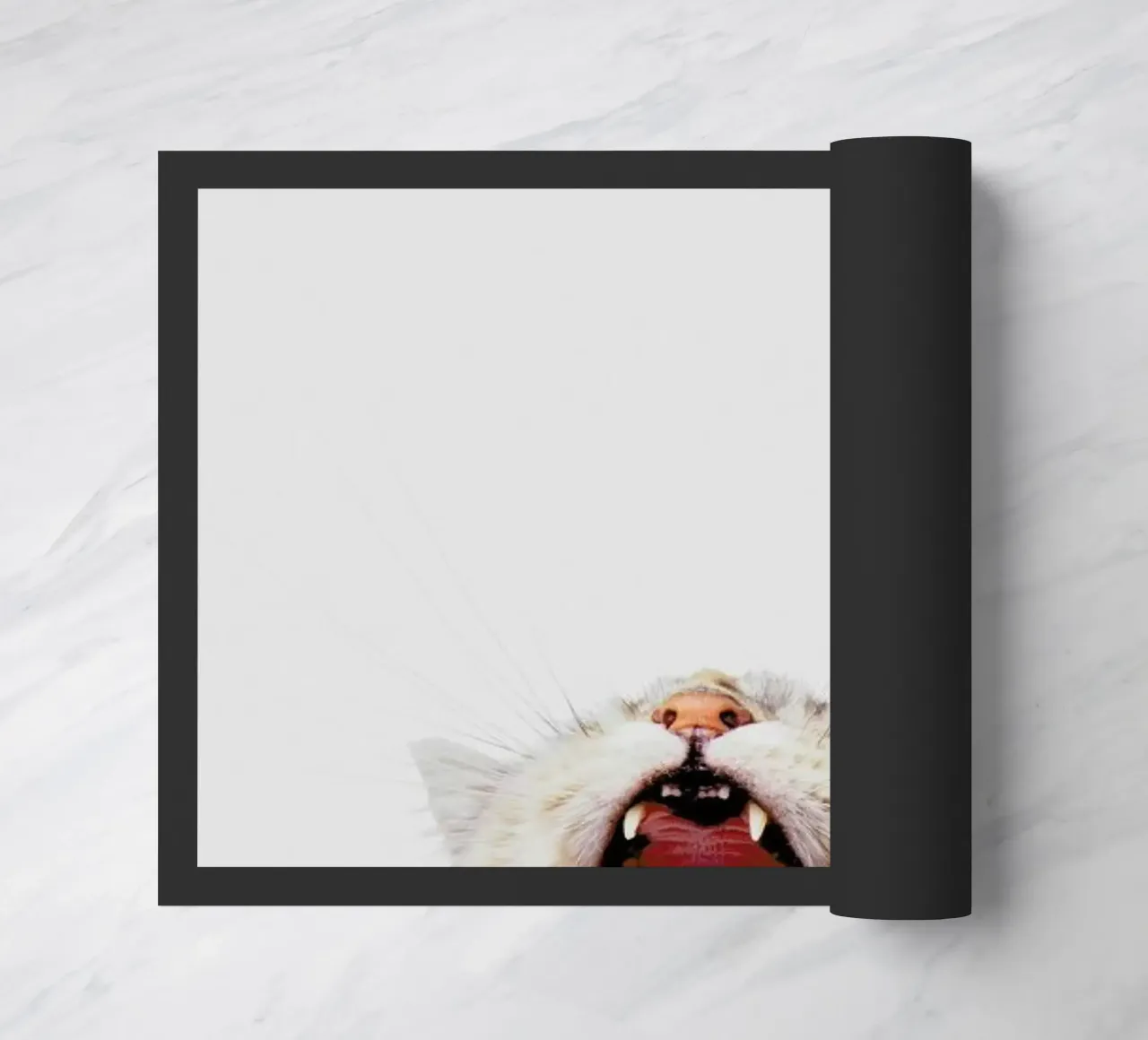 Roar II zerbino da Paws & Claws