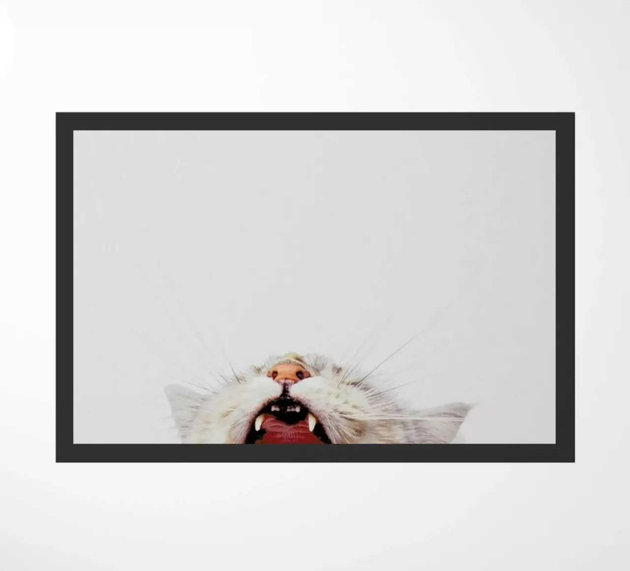 Roar II zerbino da Paws & Claws