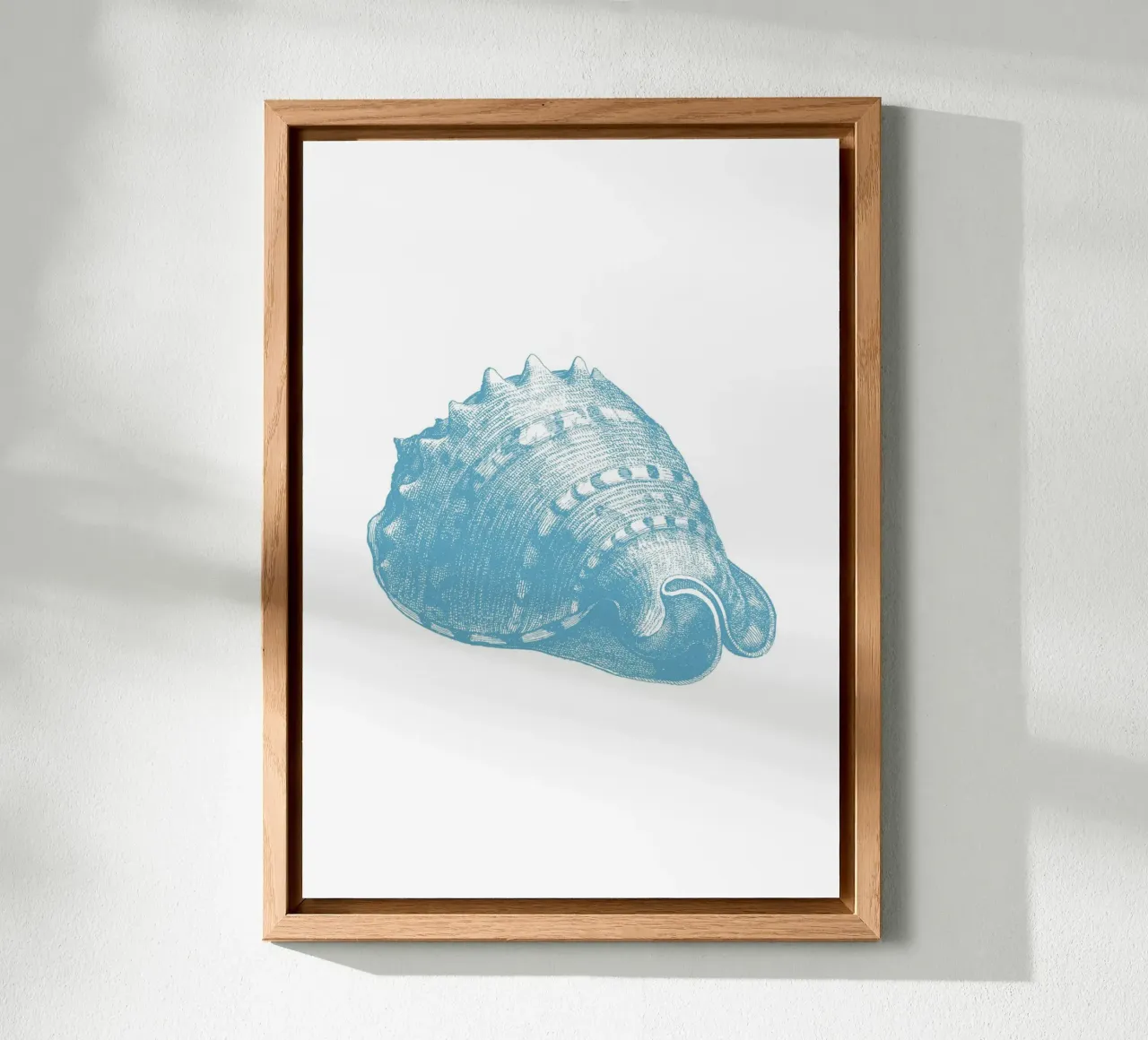 Triton Shell Etching - Coastal Marine Life Print alu-dibond by NorwesClub