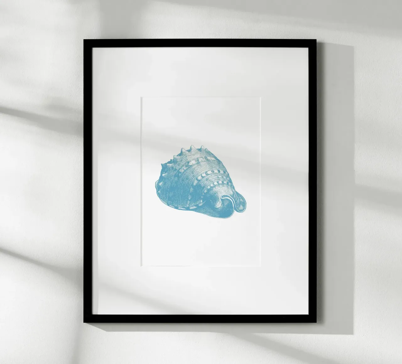 Triton Schelp Ets - Kustzeedieren Print hahnemühle van NorwesClub