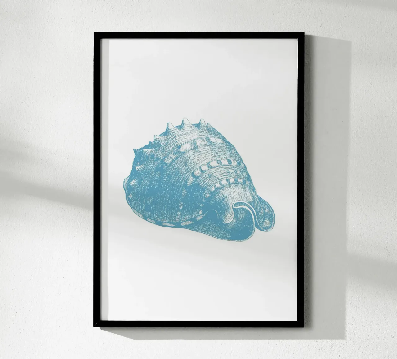 Triton Schelp Ets - Kustzeedieren Print hahnemühle van NorwesClub