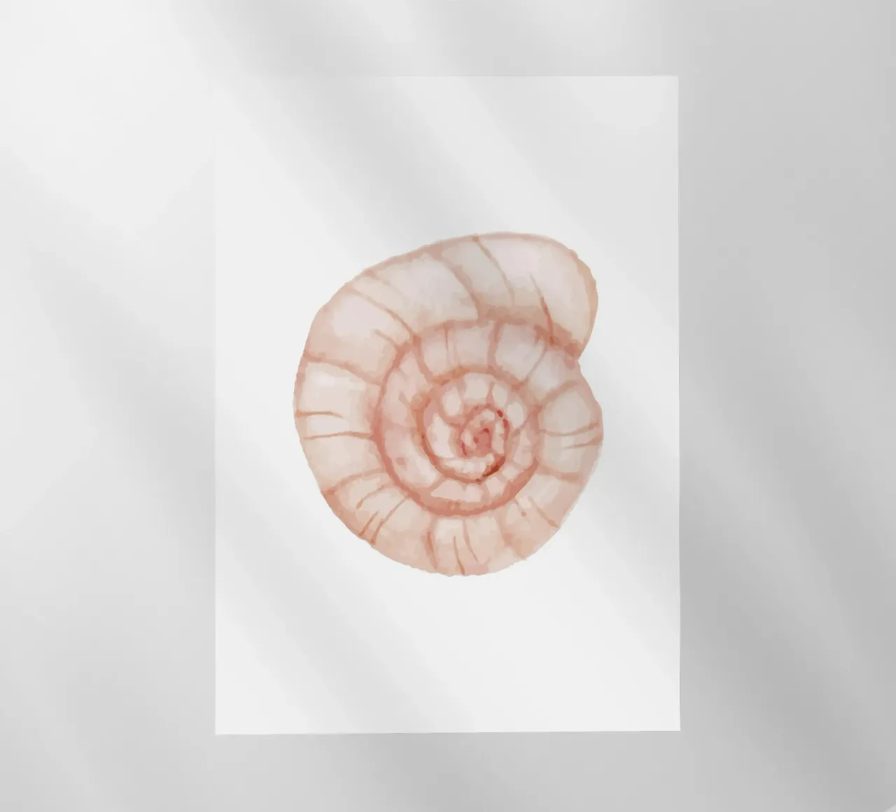Conchiglia a spirale di colore bianco - Nautilus art. acquerello costiero pellicola backlit da NorwesClub