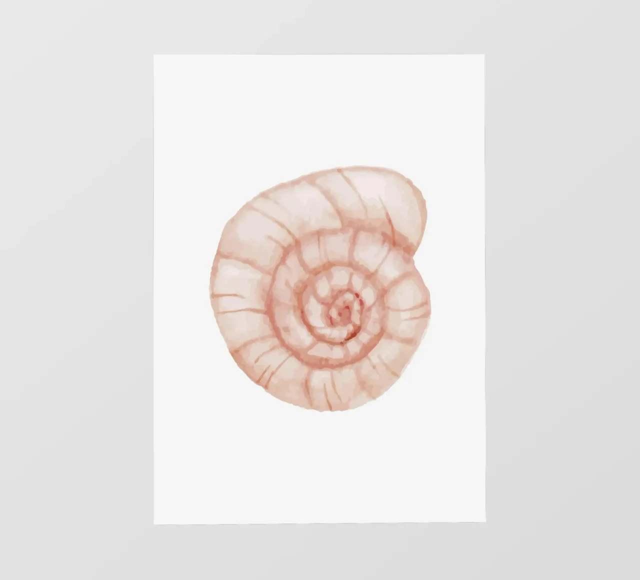 Blush Spiraal Zeeschelp - Aquarel Kust Nautilus Kunst fotobehang van NorwesClub