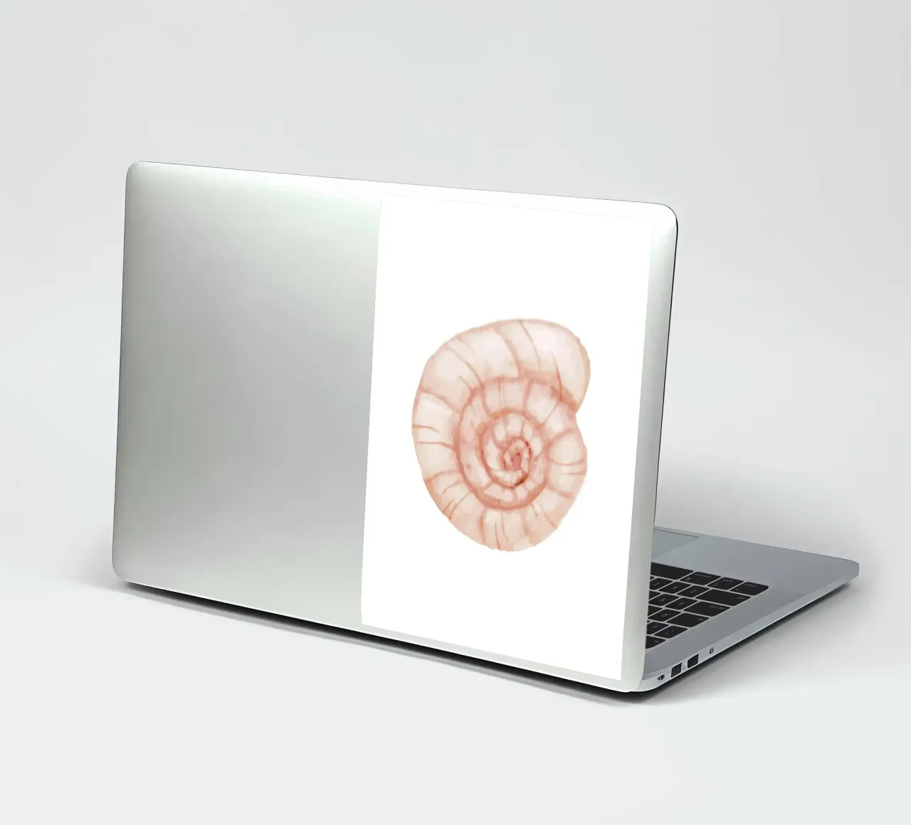 Blush Spiral Seashell - Watercolor Coastal Nautilus Art sticker by NorwesClub