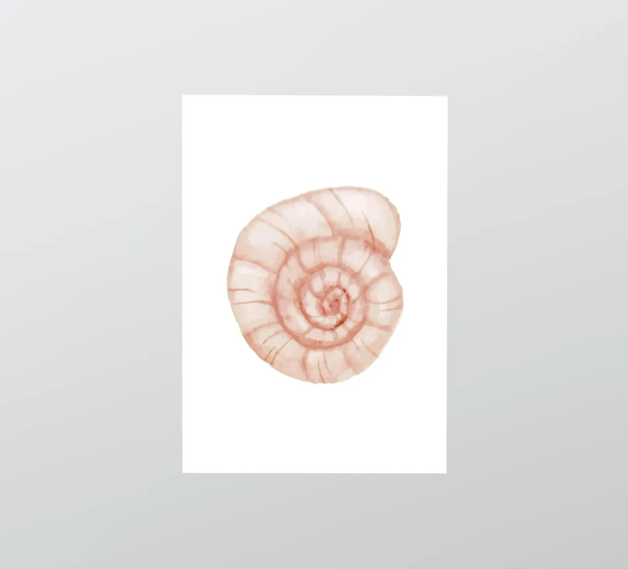 Blush Spiral Seashell - Watercolor Coastal Nautilus Art sticker by NorwesClub