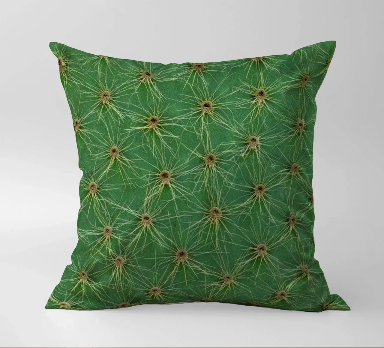 Cactus cuscino da Curious Collections by Marielle Leenders
