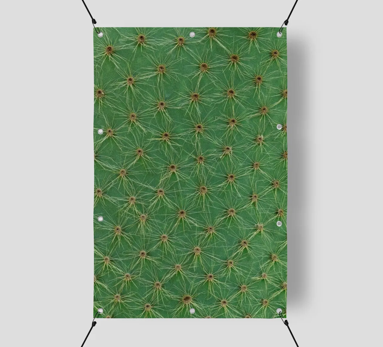 Cactus telo in pvc da Curious Collections by Marielle Leenders
