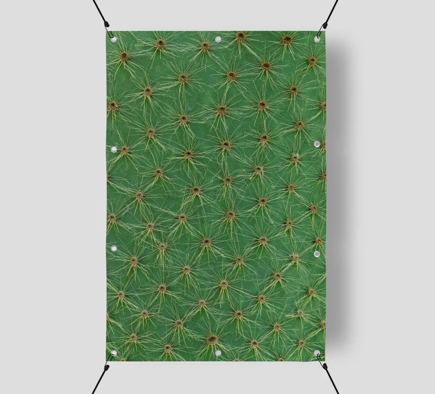 Cactus telo in pvc da Curious Collections by Marielle Leenders