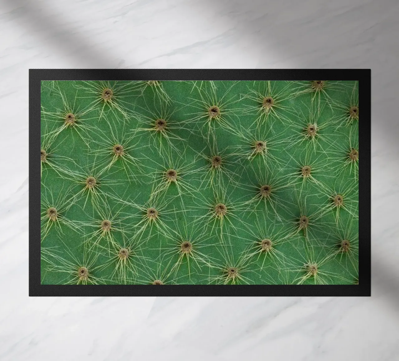 Cactus zerbino da Curious Collections by Marielle Leenders