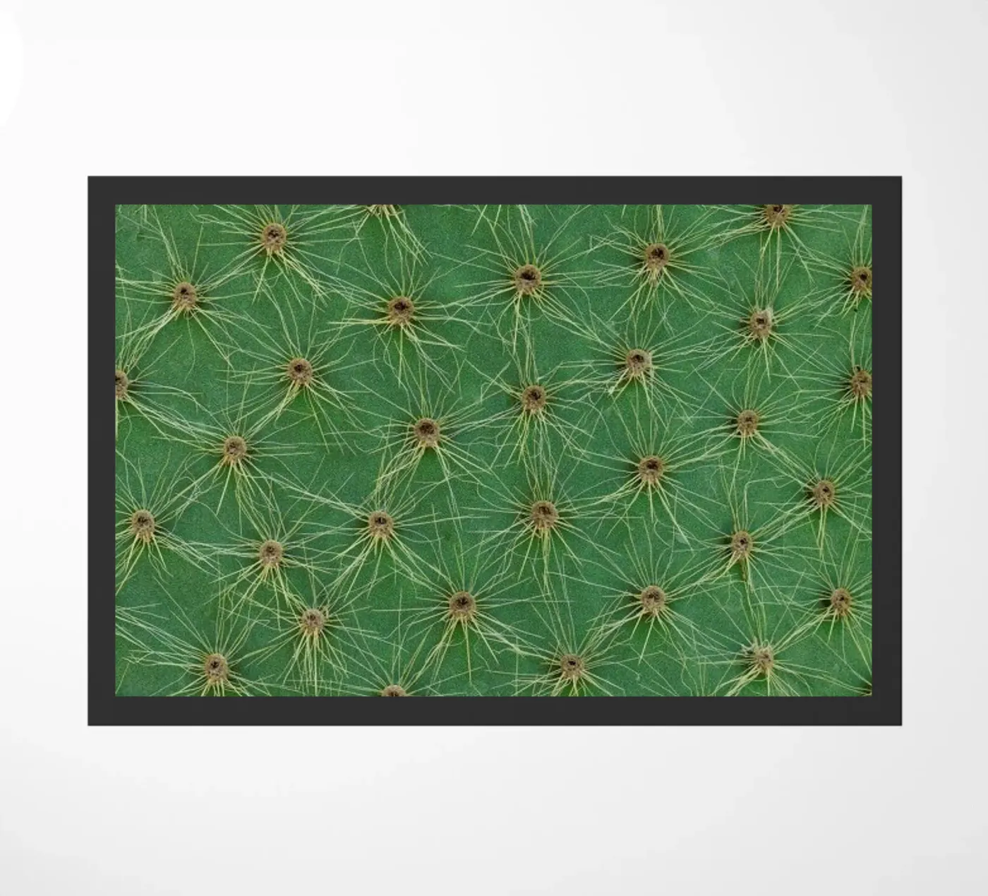 Cactus deurmat van Curious Collections by Marielle Leenders