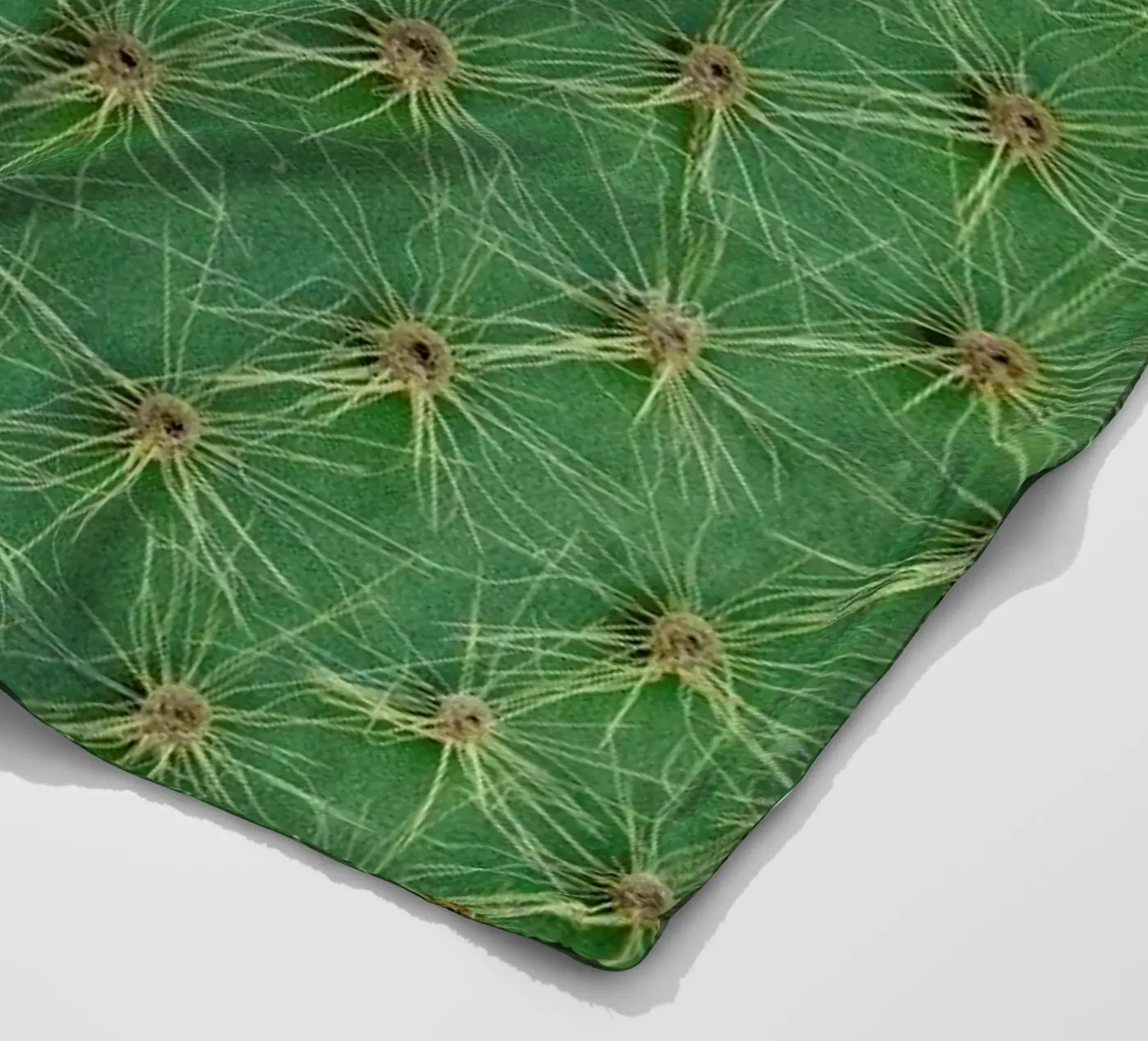 Cactus fleecedeken van Curious Collections by Marielle Leenders