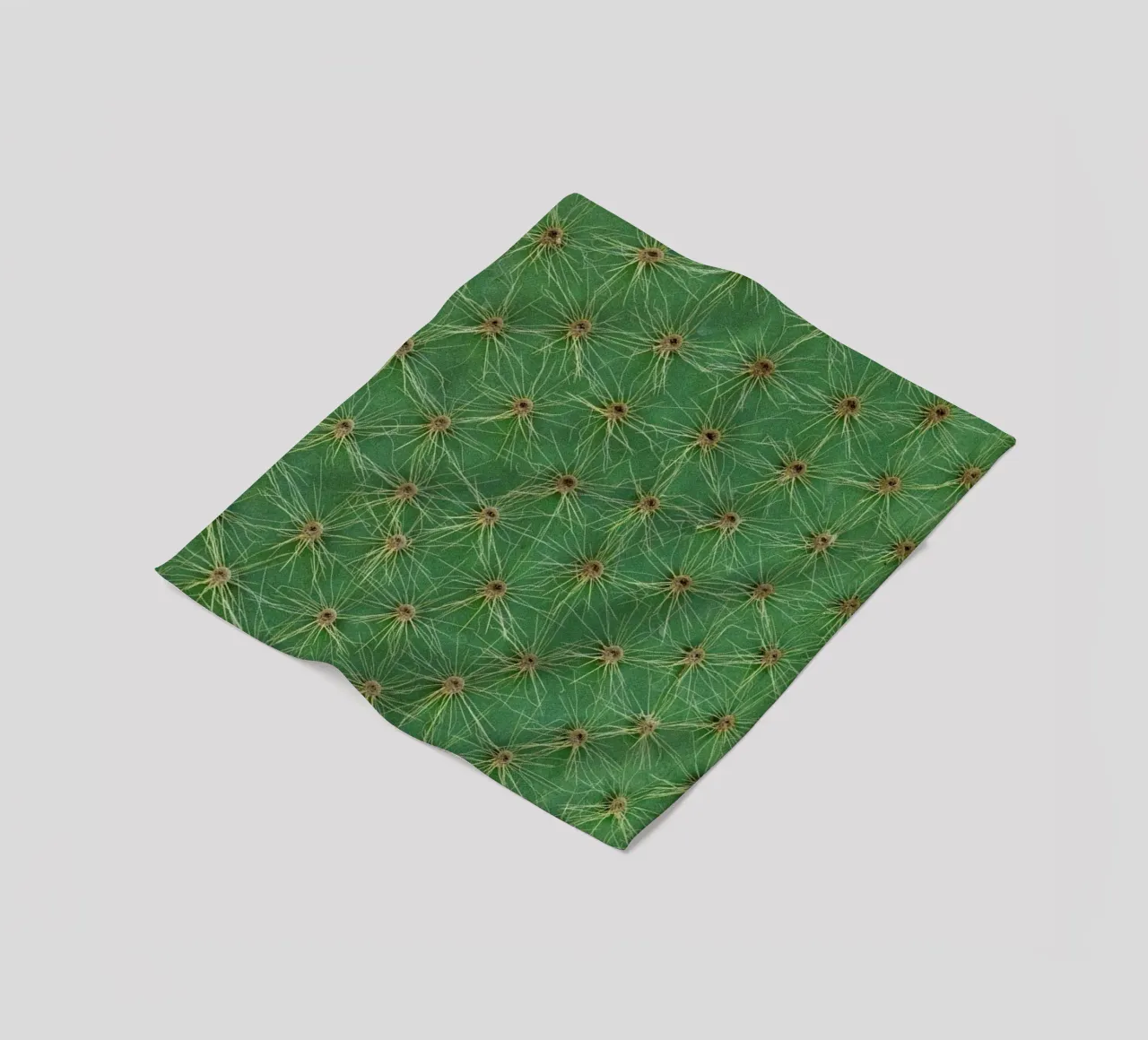 Cactus coperta in pile da Curious Collections by Marielle Leenders
