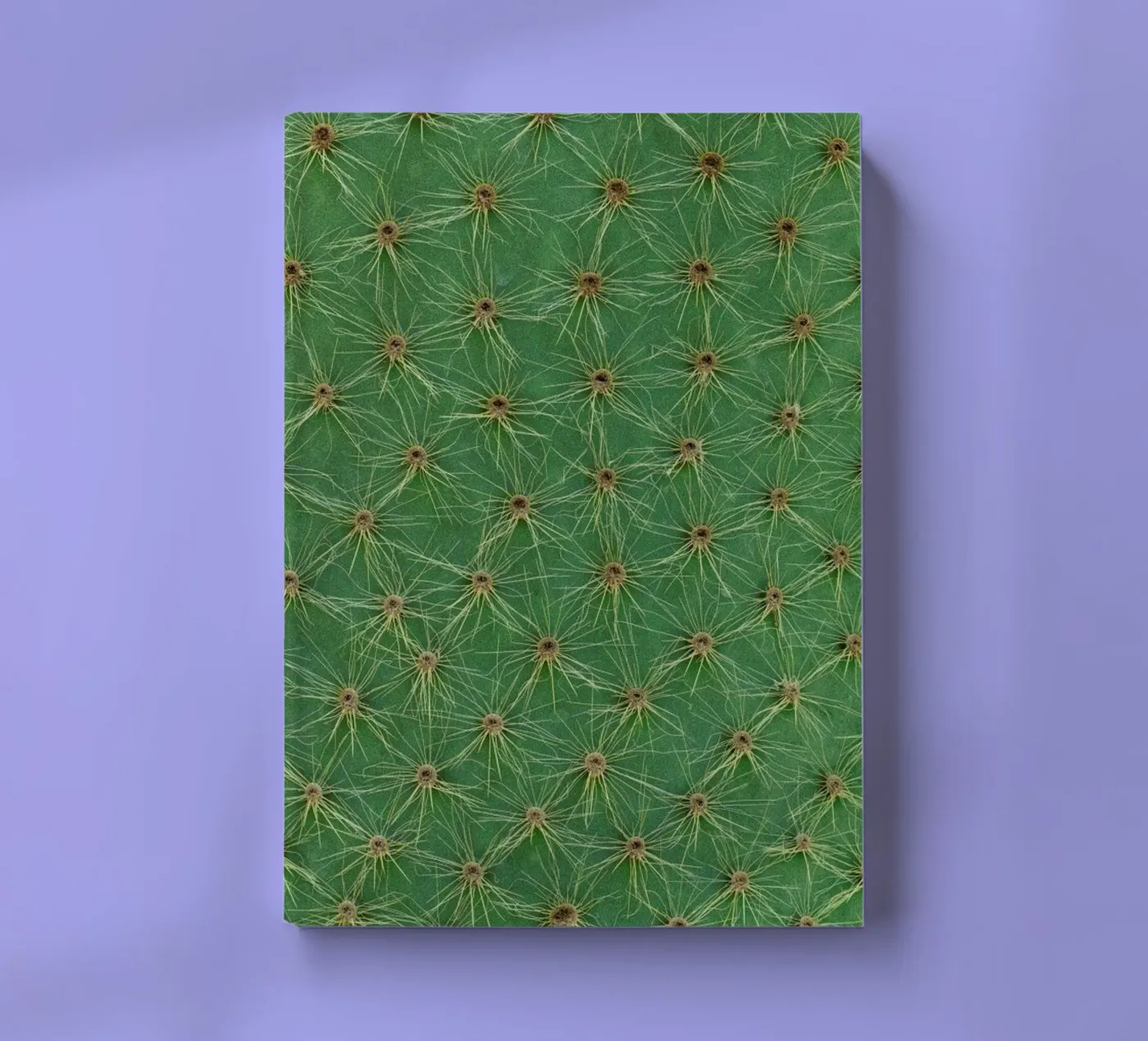 Cactus notebook by Curious Collections by Marielle Leenders