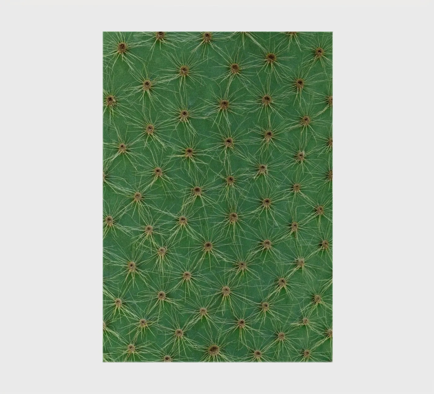 Cactus notebook by Curious Collections by Marielle Leenders