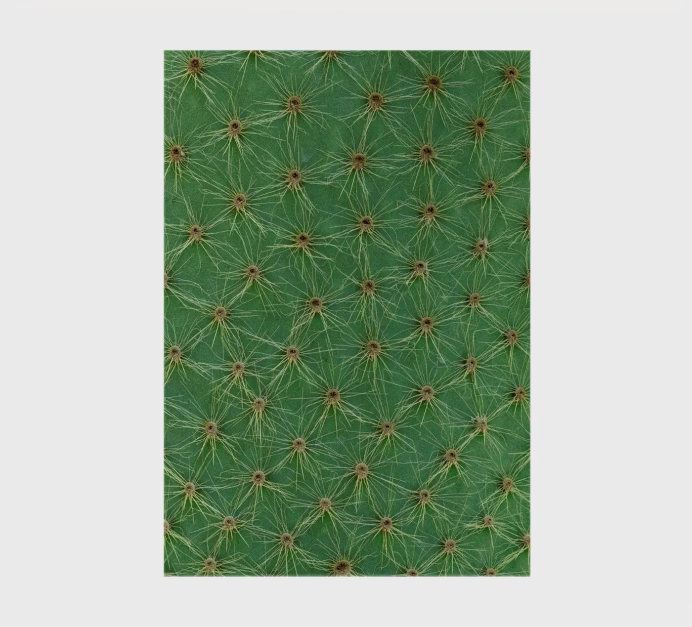 Cactus notebook by Curious Collections by Marielle Leenders