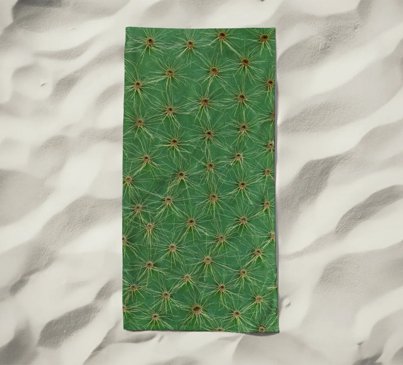 Cactus telo mare da Curious Collections by Marielle Leenders