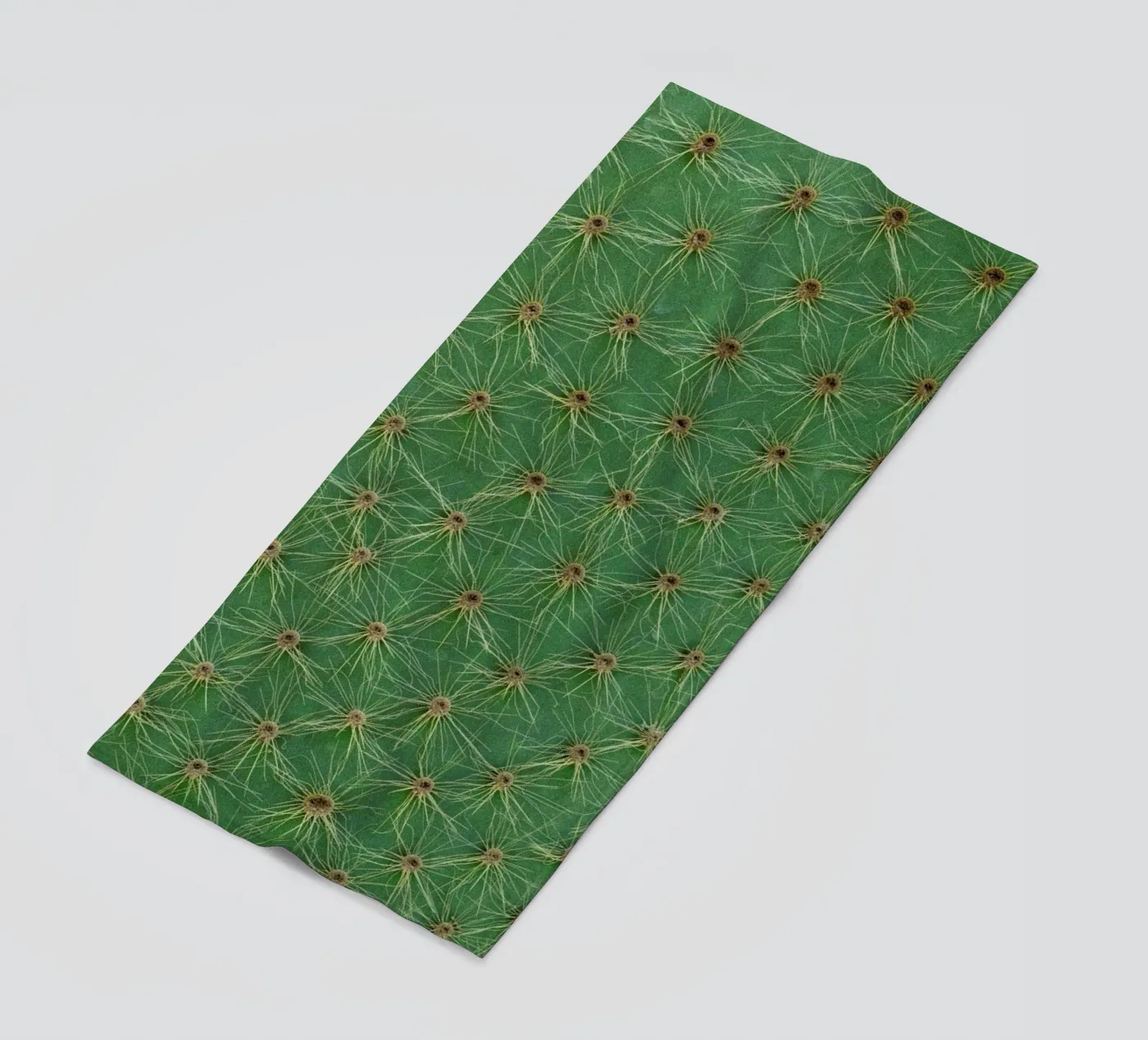 Cactus telo mare da Curious Collections by Marielle Leenders