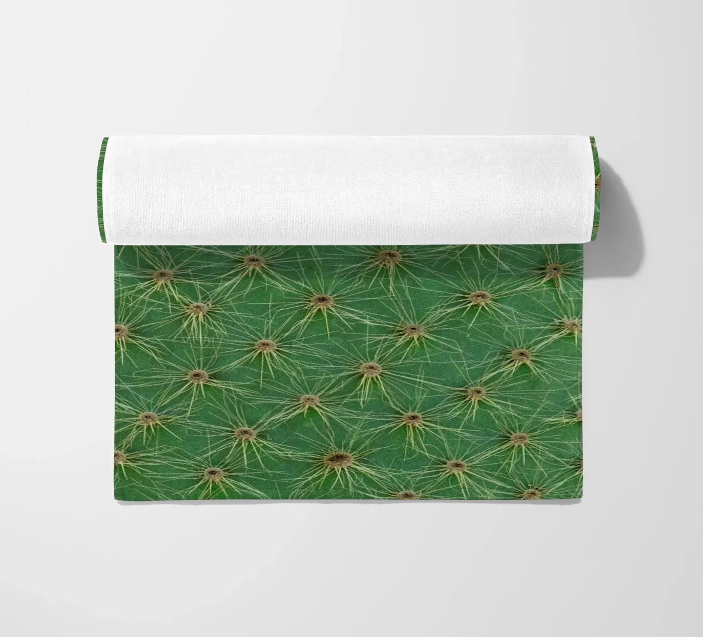 Cactus telo mare da Curious Collections by Marielle Leenders