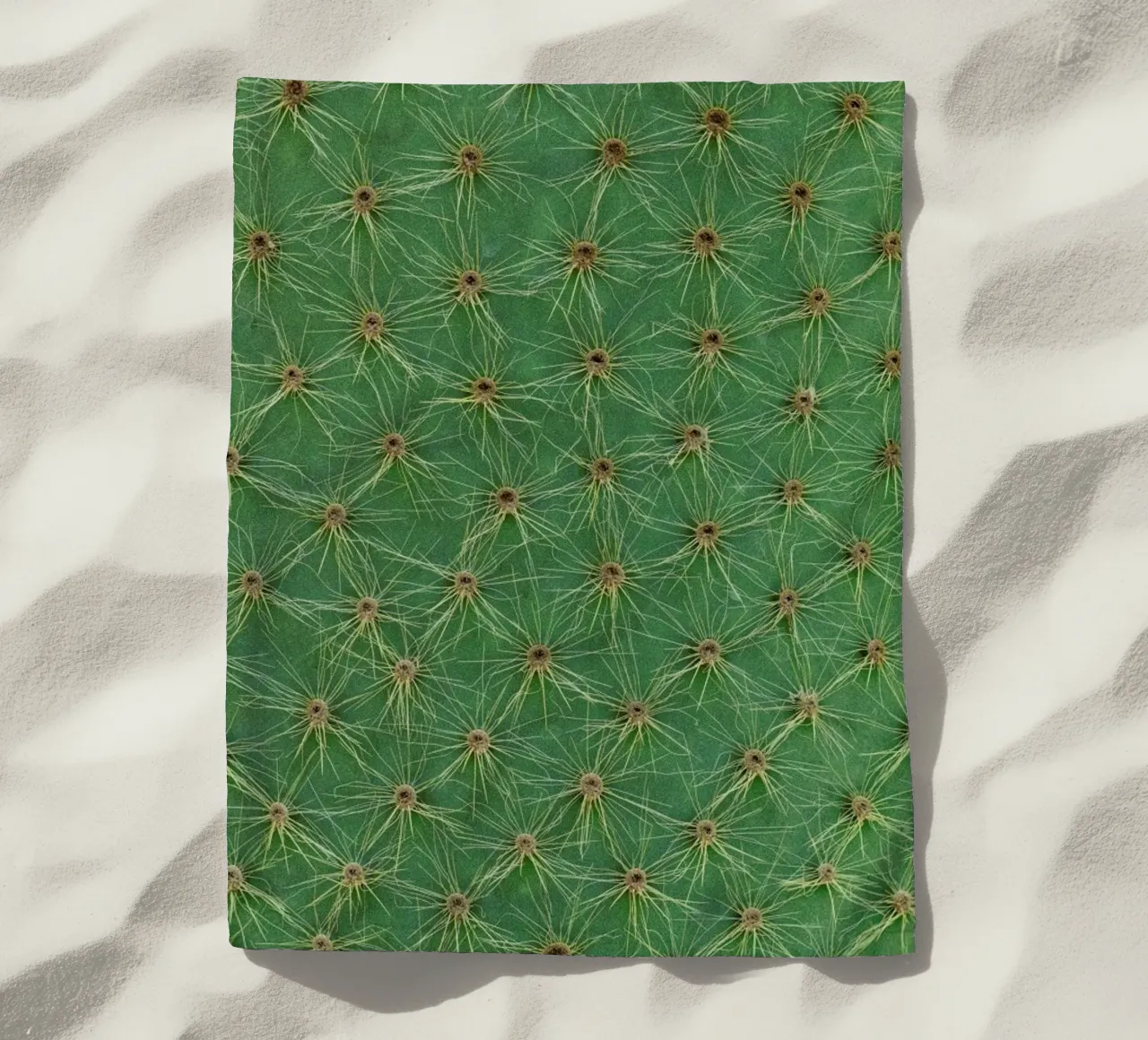 Cactus telo mare da Curious Collections by Marielle Leenders