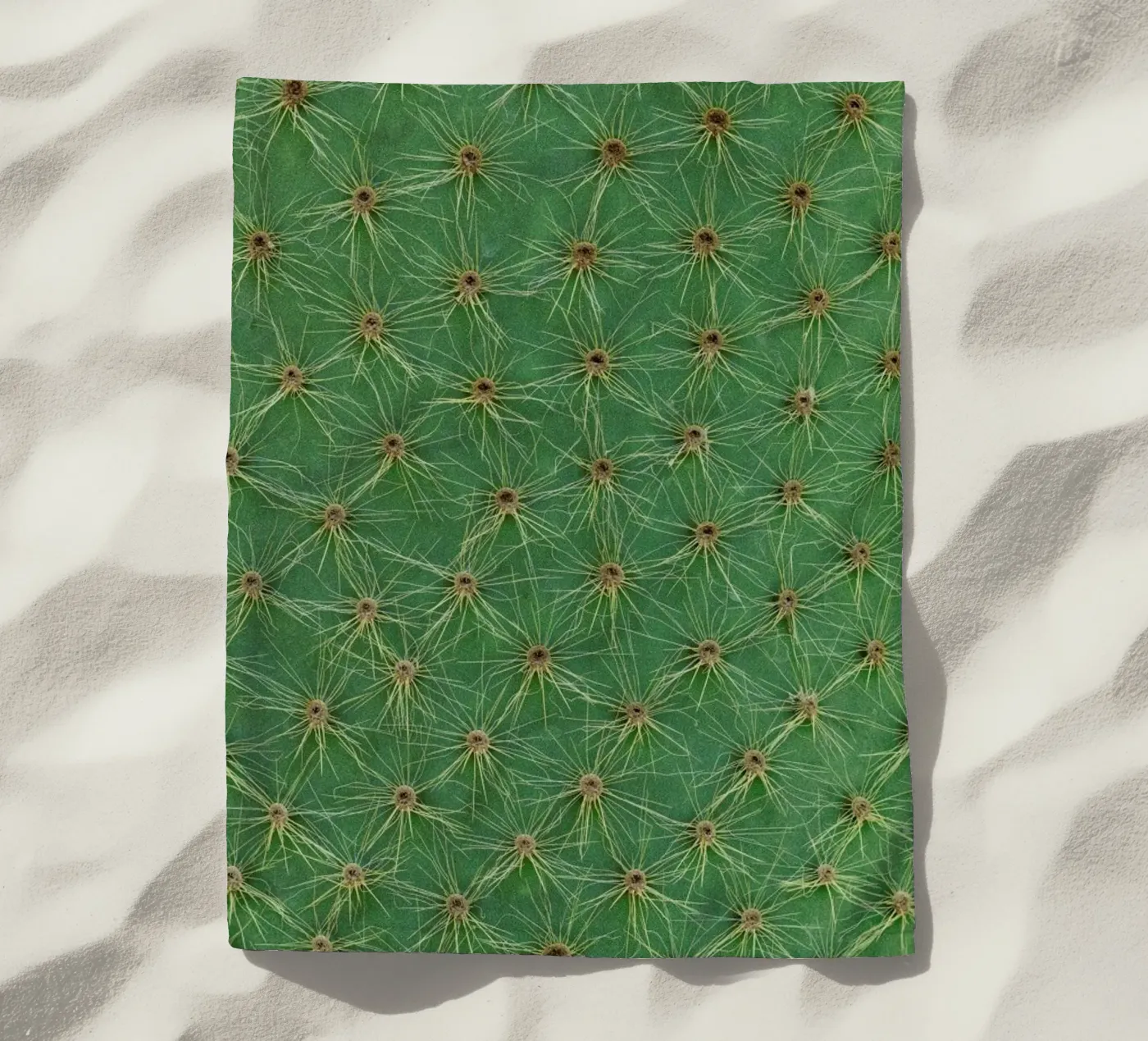 Cactus telo mare da Curious Collections by Marielle Leenders