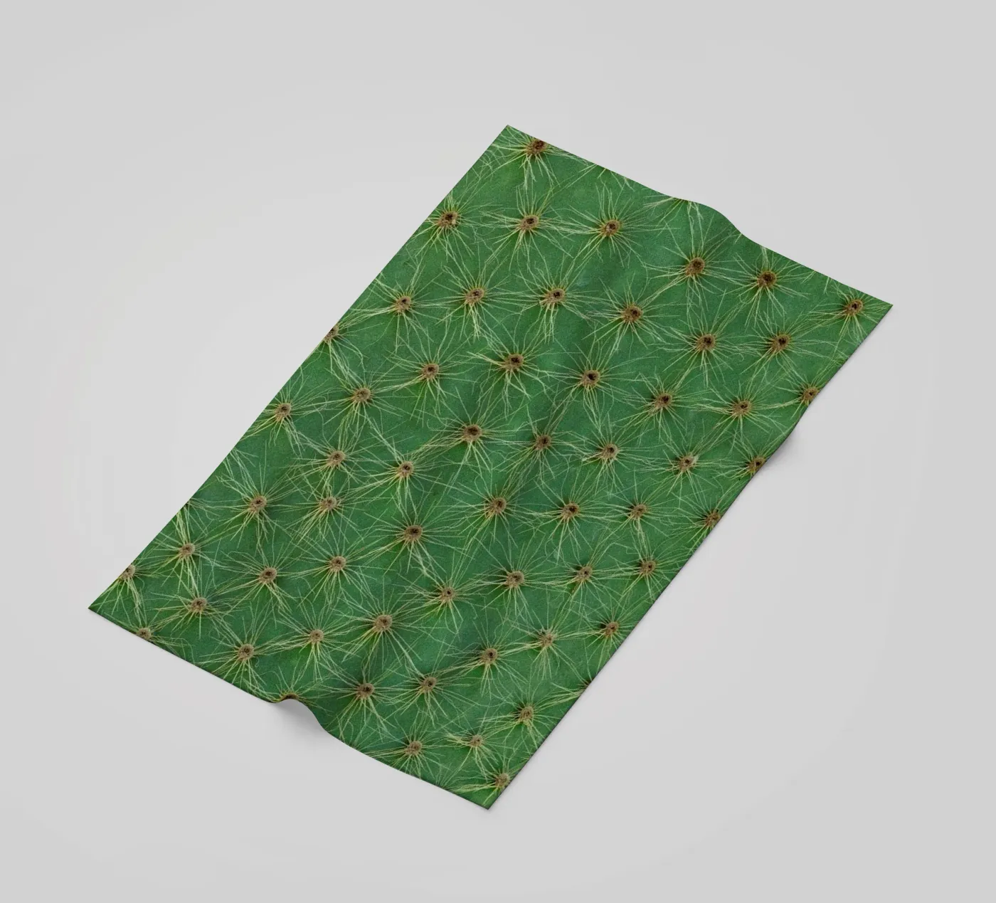 Cactus telo mare da Curious Collections by Marielle Leenders