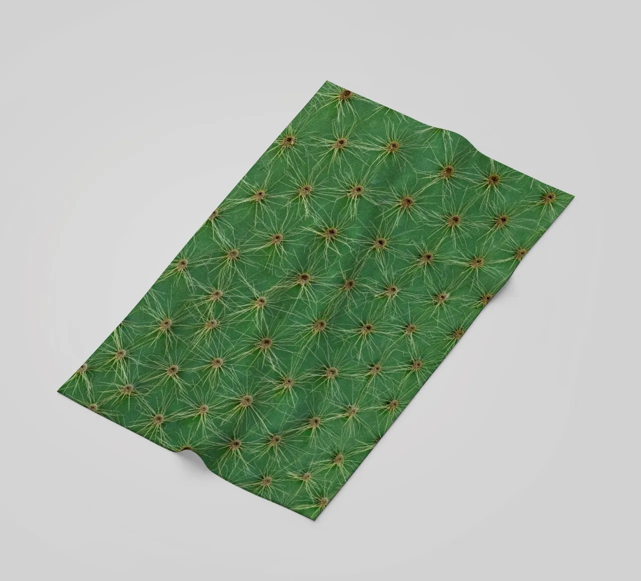 Cactus telo mare da Curious Collections by Marielle Leenders