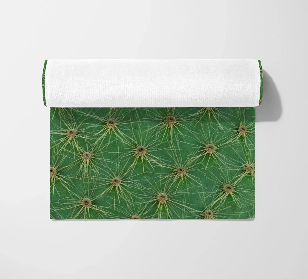 Cactus telo mare da Curious Collections by Marielle Leenders