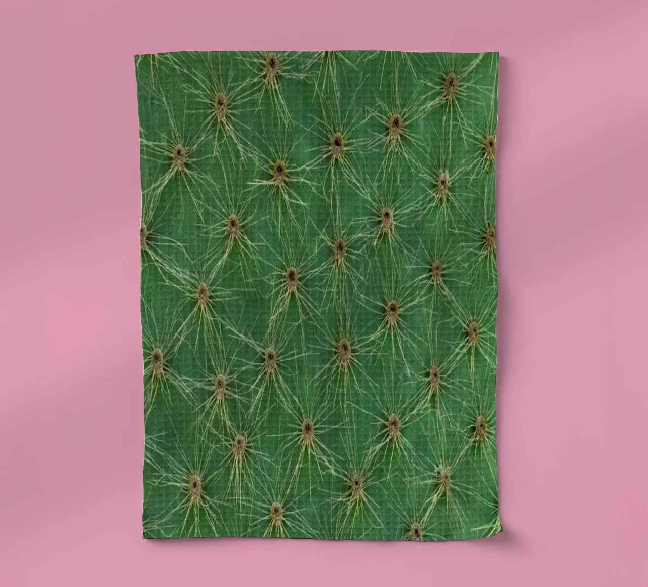 Cactus canovaccio da cucina da Curious Collections by Marielle Leenders