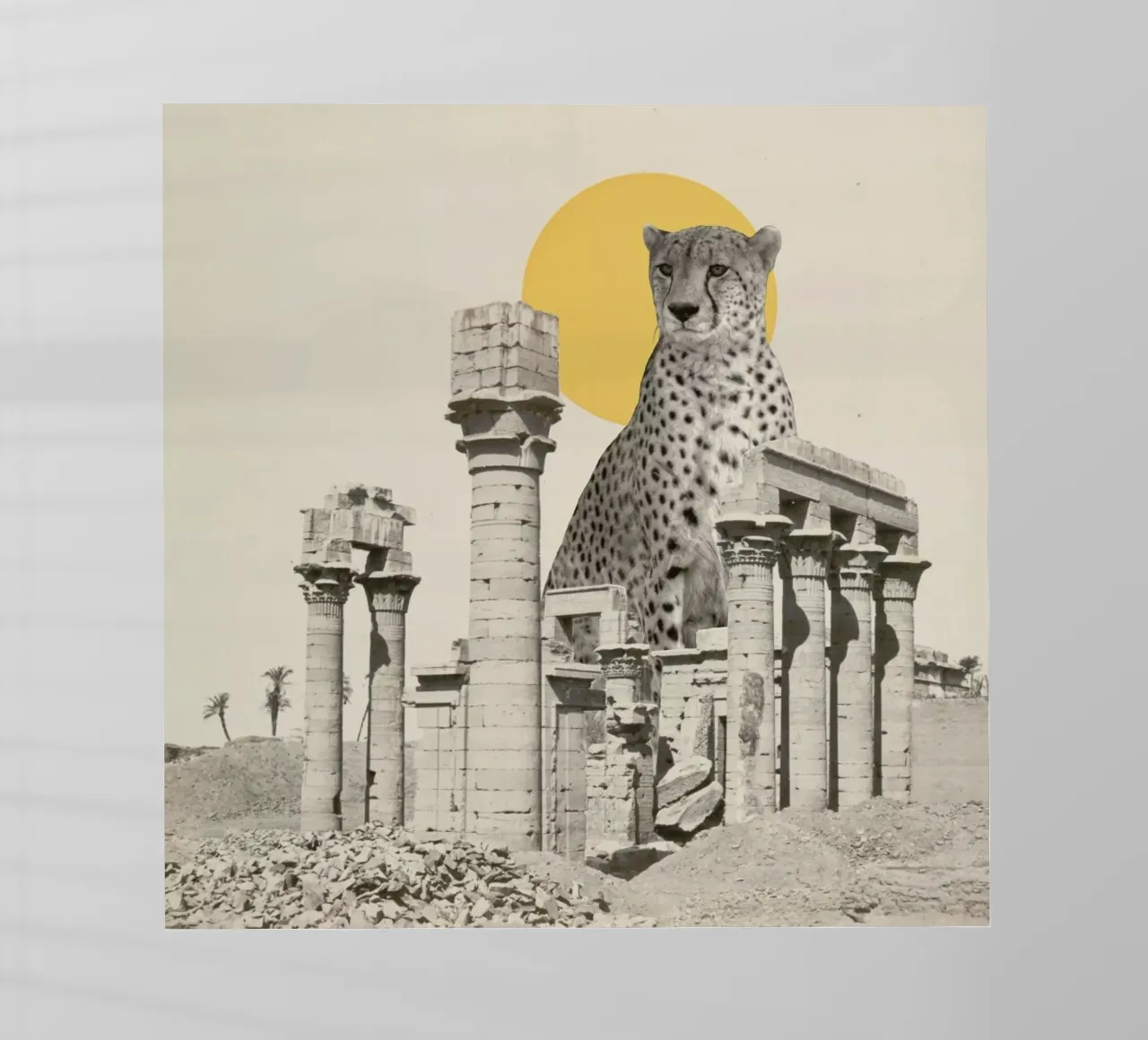 Giant Cheetah in Ruins pellicola backlit da Florent Bodart