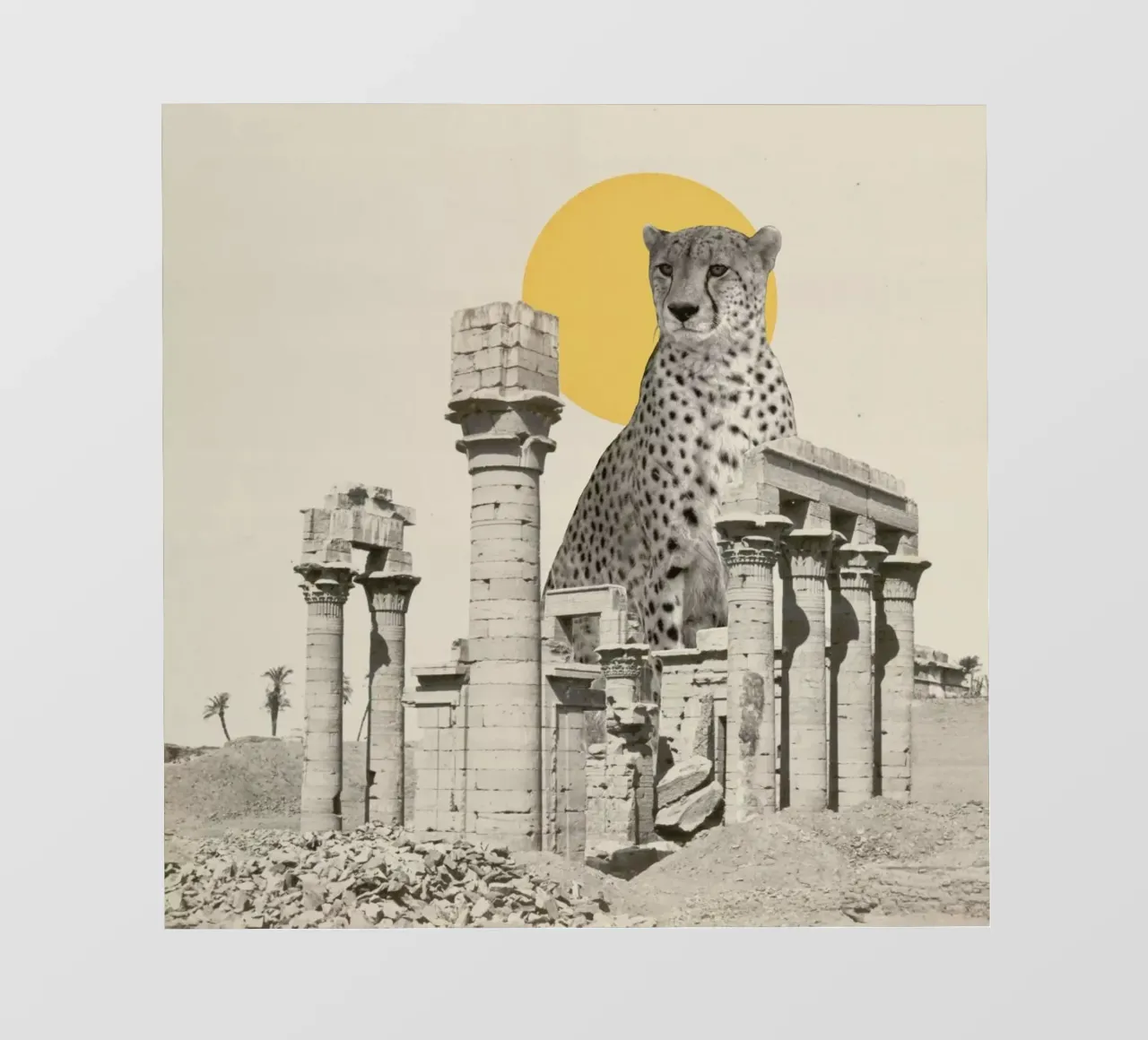 Giant Cheetah in Ruins pellicola backlit da Florent Bodart