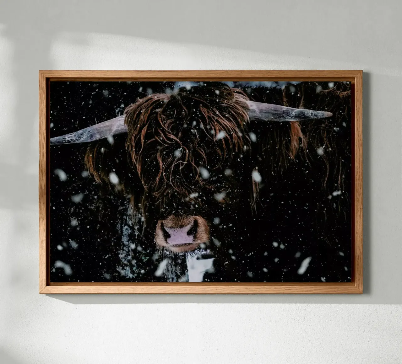 Caught in the Snow canvas with Floater frame by Natural Kingdom