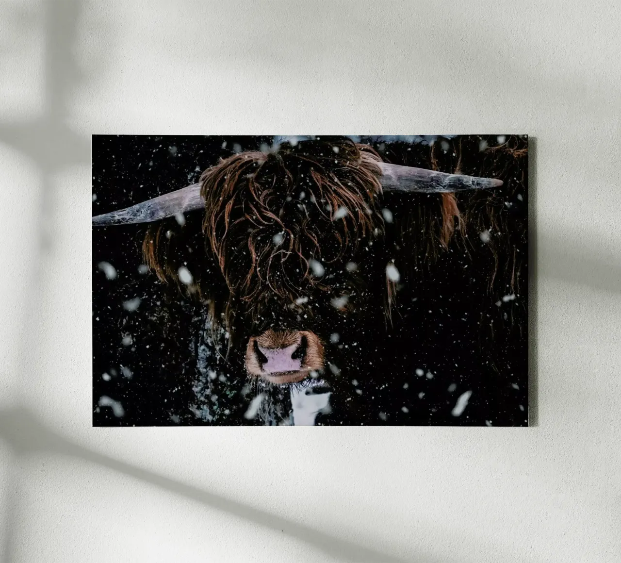 Caught in the Snow canvas with Floater frame by Natural Kingdom