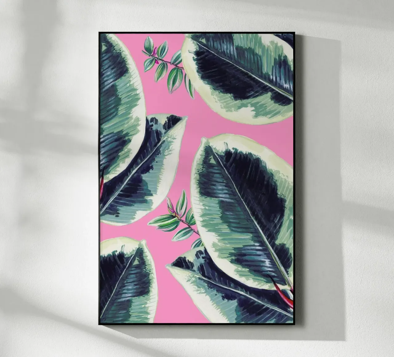 Rubber Plant plexiglass da Rocket68