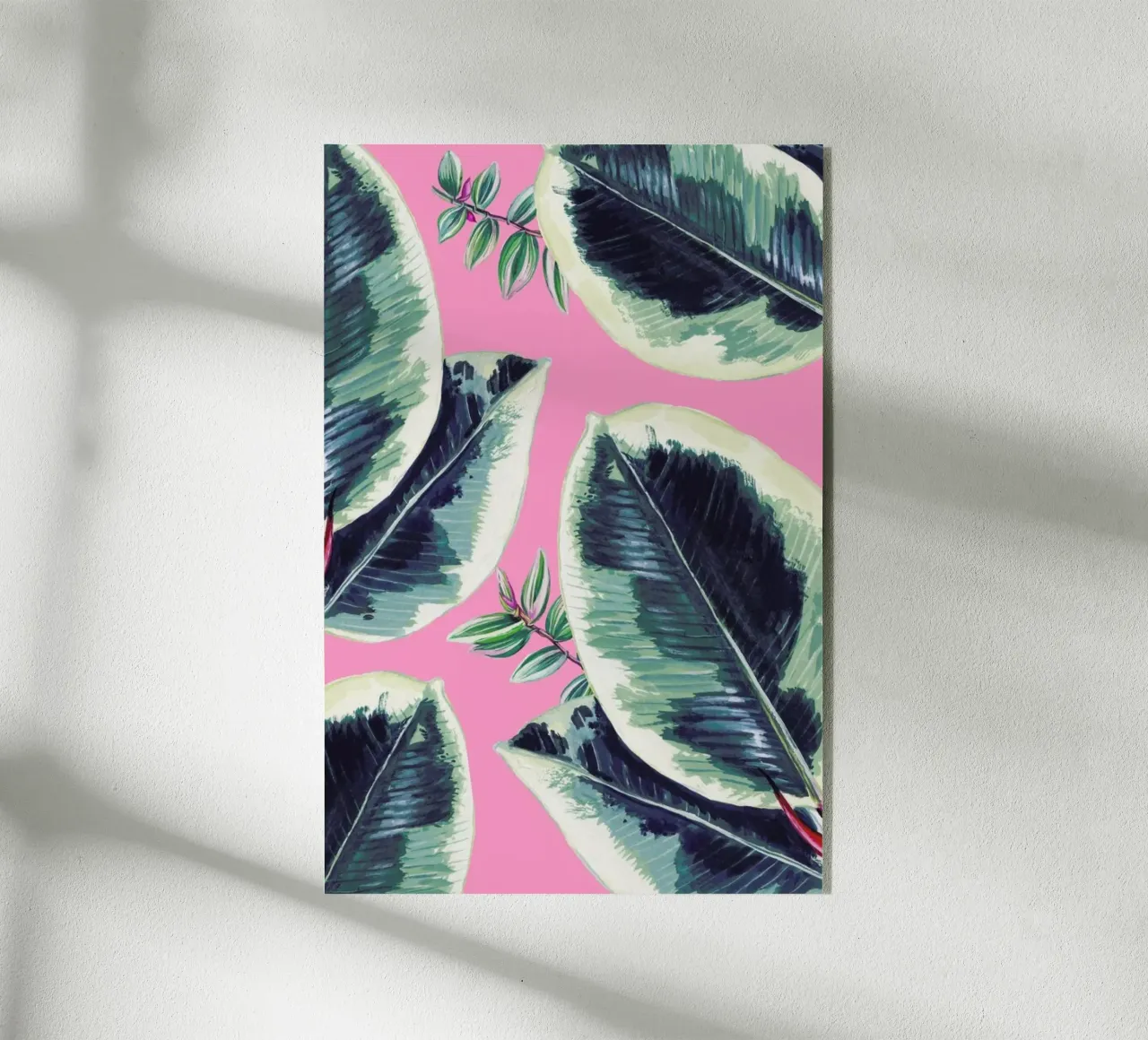 Rubber Plant plexiglass da Rocket68