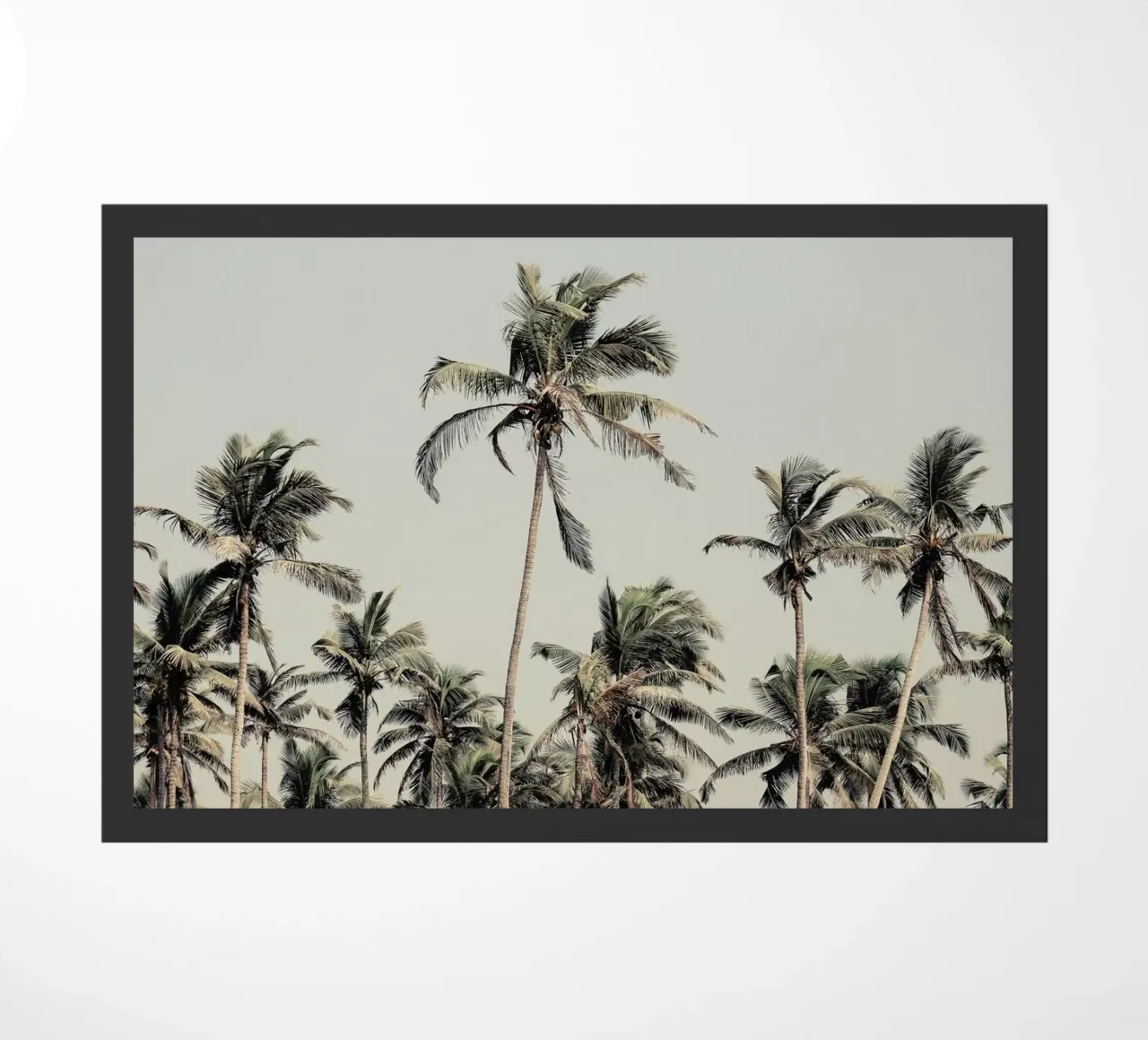 Palm Trees On The Beach zerbino da Victoria Frost